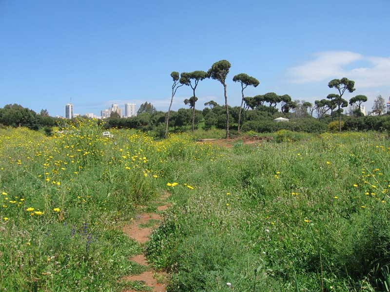 a walk & picnic in Beirut